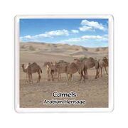 Ajooba Dubai Souvenir Magnet Camel Arabian Heritage MCA 0002