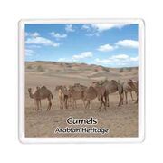Ajooba Dubai Souvenir Magnet Camel Arabian Heritage MCA 0009
