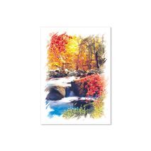 Greeting Cards (Trees)