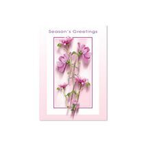 Seasons Greeting Card SGC 1614