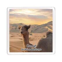Ajooba Dubai Souvenir Magnet Camel Arabian Heritage MCA 0001