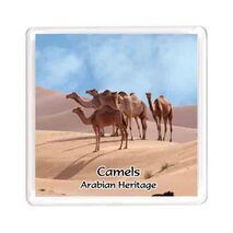 Ajooba Dubai Souvenir Magnet Camel Arabian Heritage MCA 0003