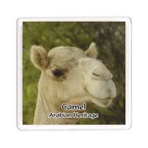 Ajooba Dubai Souvenir Magnet Camel Arabian Heritage MCA 0004