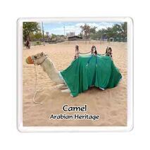 Ajooba Dubai Souvenir Magnet Camel Arabian Heritage MCA 0006
