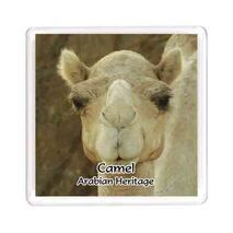 Ajooba Dubai Souvenir Magnet Camel Arabian Heritage MCA 0007