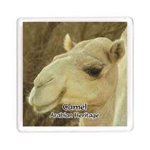Ajooba Dubai Souvenir Magnet Camel Arabian Heritage MCA 0008