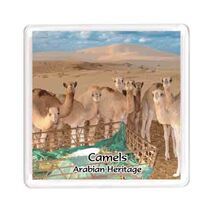 Ajooba Dubai Souvenir Magnet Camel Arabian Heritage MCA 0010