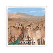 Ajooba Dubai Souvenir Magnet Camel Arabian Heritage MCA 0011