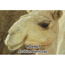 Ajooba Dubai Souvenir Puzzle Camel Arabian Heritage MCA 0008