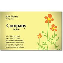 Business Card BC 0213