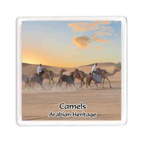 Ajooba Dubai Souvenir Magnet Camels MG 004