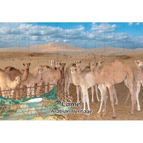 Ajooba Dubai Souvenir Puzzle Camel Arabian Heritage MCA 0010