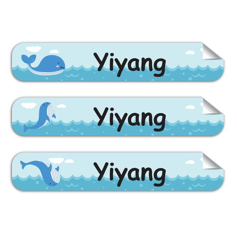 Incredible Whale -Pack of 50