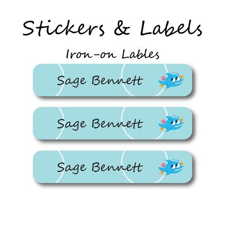 Shy Shark-Pack of 50