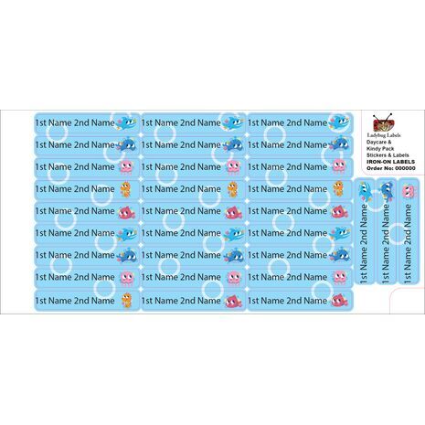 Shy Shark-Pack of 50