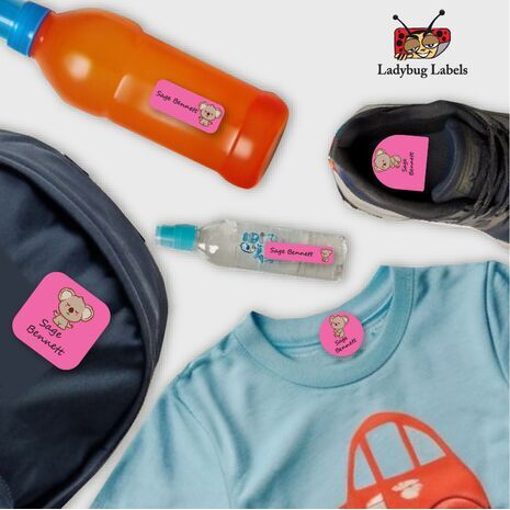 Koala Bear-Pack of 30 Classic Waterproof Labels