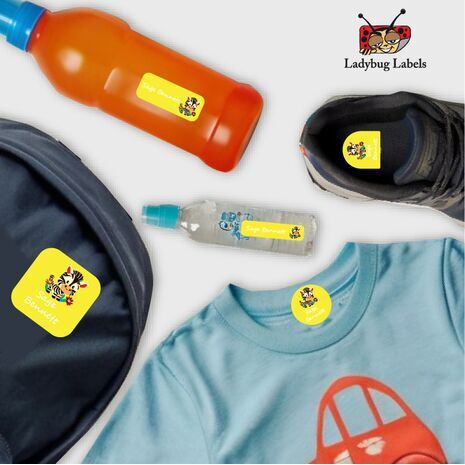 Happy Zebra-pack of 12