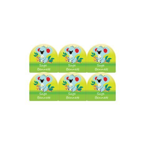 Koala-pack of 12