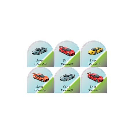 Racing Cars-pack of 12