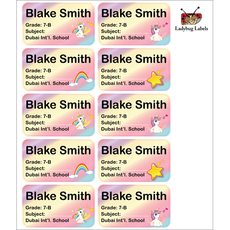 Rainbow-Pack of 40 Book