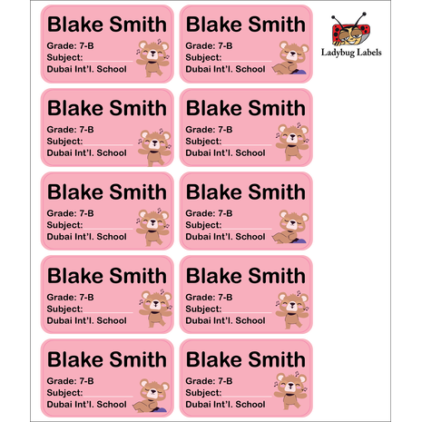 Tedy Bear-Pack of 40 Book Labels