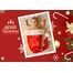 5x7 Flat Personalised Christmas Greeting Cards -028