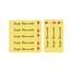 Cute Teddy-Pack of 30 Large waterproof labels