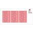 Watermelon-Pack of 30 Small Waterproof Labels