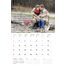 Landscape Calendar with 14 Pictures